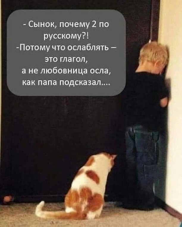 Завалялось тут случайно немного забавных картинок