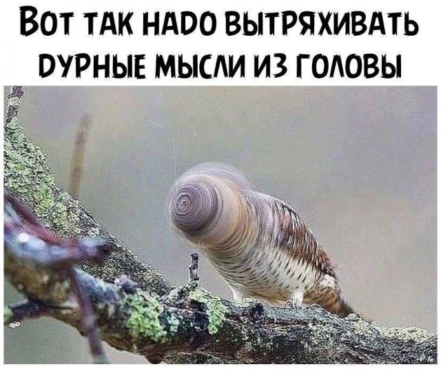 Картинки для...