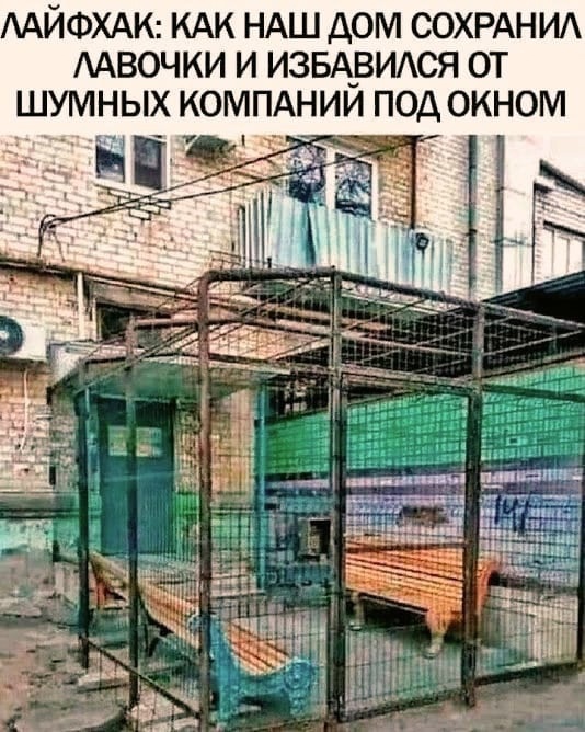 Так себе картинки 31.12.24