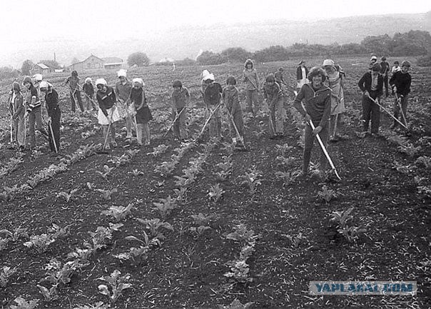 Фотографии из прошлого нашей страны – 89