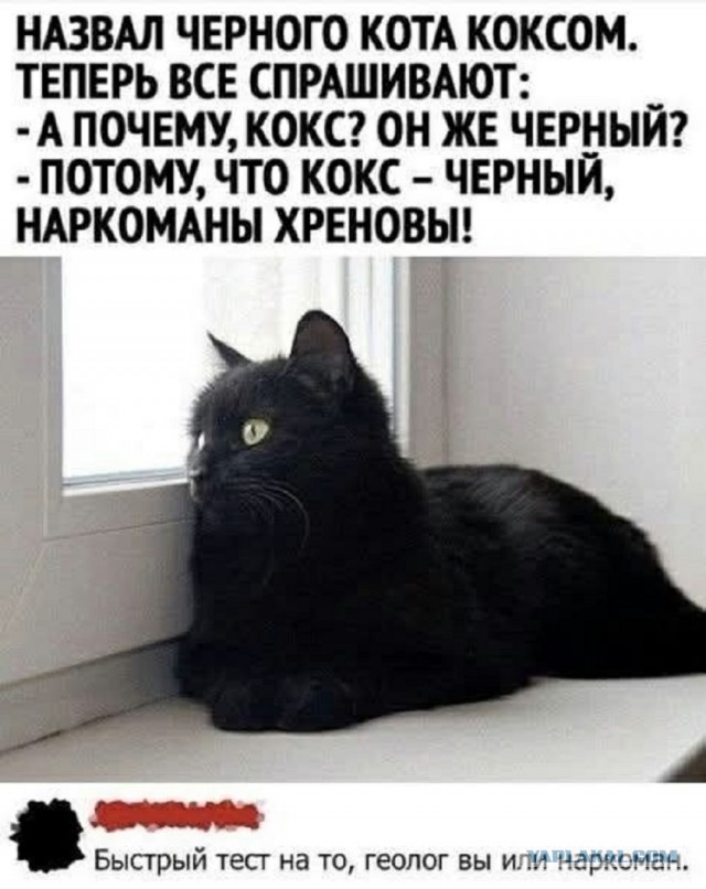 Так себе картинки 12.03.25