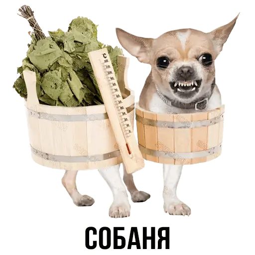 Укуренные картинки