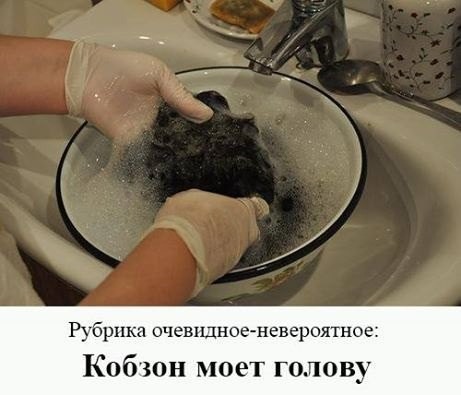 Картинки для деградации -2 (разной степени свежести)