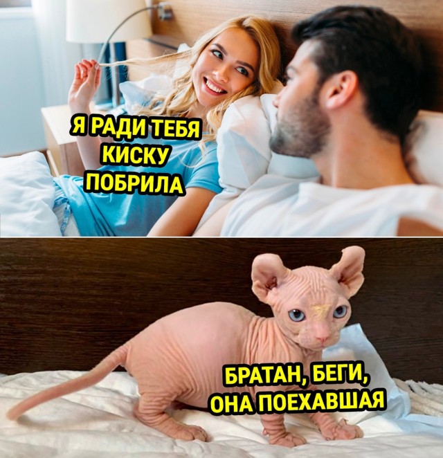 Сегодня отмечается День холостяка