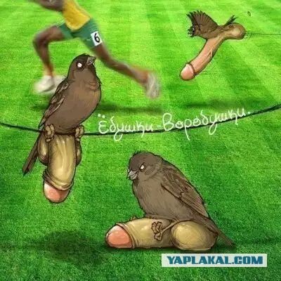 Почему воробья назвали  воробьём?