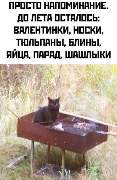 С Праздником!