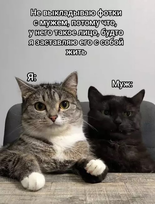 Картиночки, баянчики 14 марта
