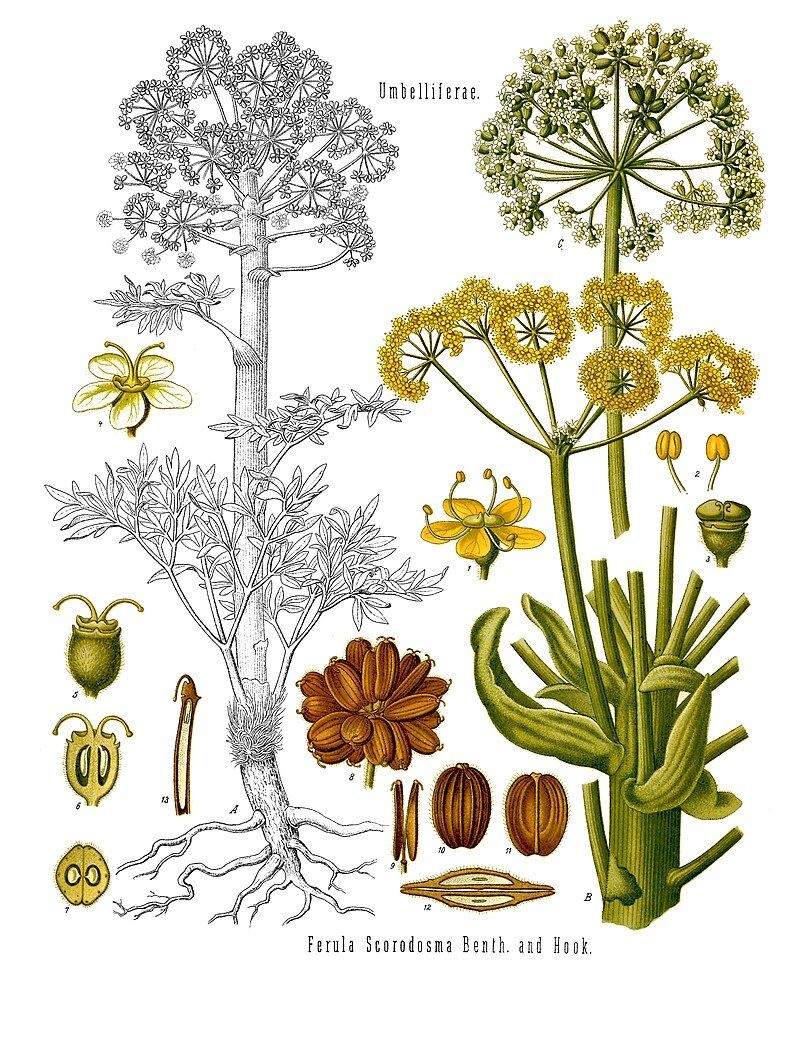 Чудо чудное