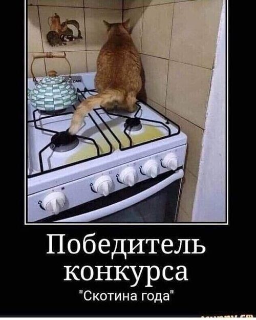 Картинки для улыбки