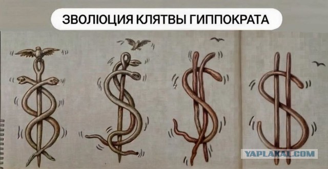 Родители абитуриентов, наверно, поймут. Никакого кликбейта, всё только антуральное!
