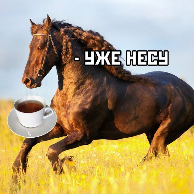 Кончаю!
