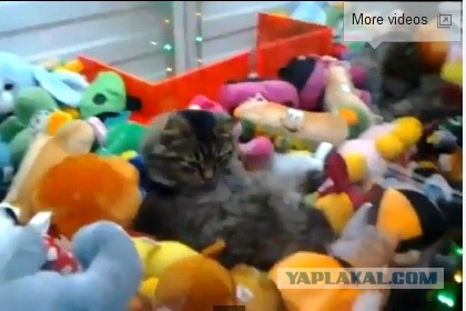 Эту страну не победить!