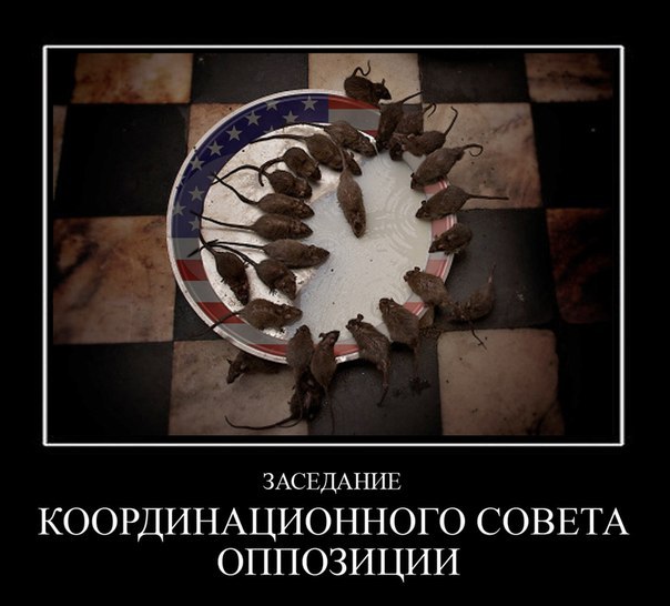 Что же теперь скажет пятая колонна?