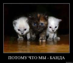 Чёрт, чёрт, чёрт!