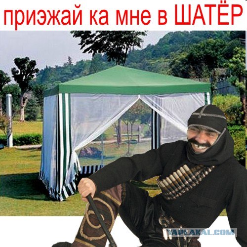 Schatauma - для шатающихся волос