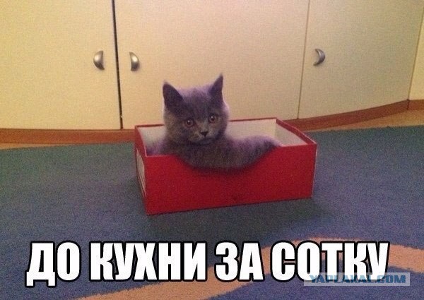 Подборка весёлых картинок