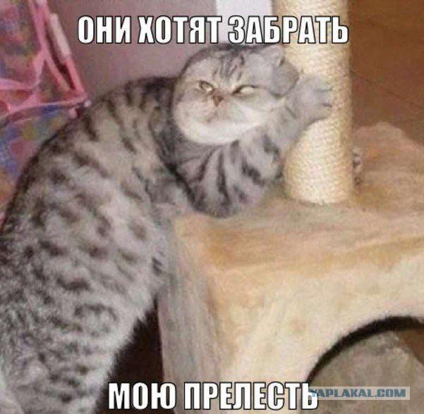 Местами поднадоевшие картинки