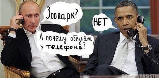 Прямой телефон в приёмную Обамы. Звоните, если чё