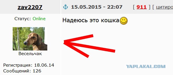 Продлевать будете?