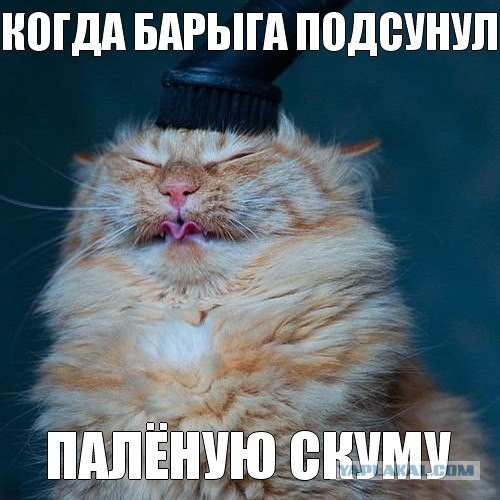 Лента анекдотов на понедельник 22.06.2015