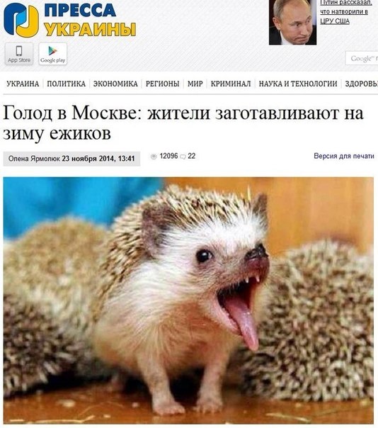Забытые деликатесы возвращаются в русскую кухню