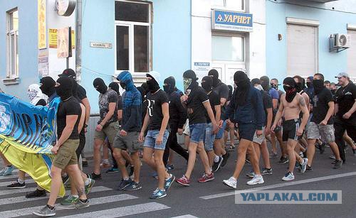 Перемирие кончилось, едва начавшись. Часть 14
