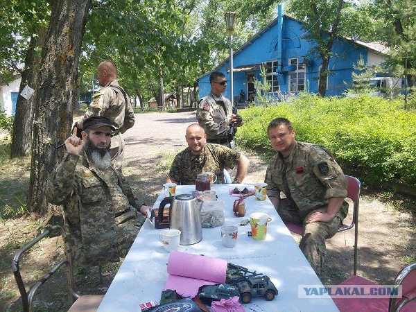 Один бред без комментариев.