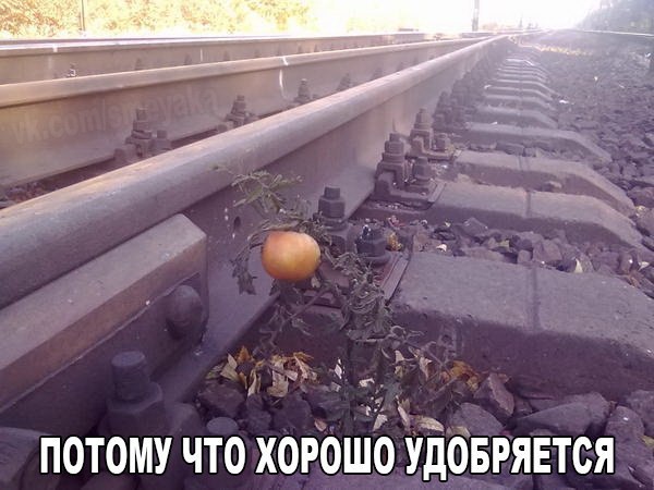 Немного позитива