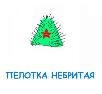 Газенваген