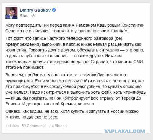 Красноярский депутат извинился перед Кадыровым