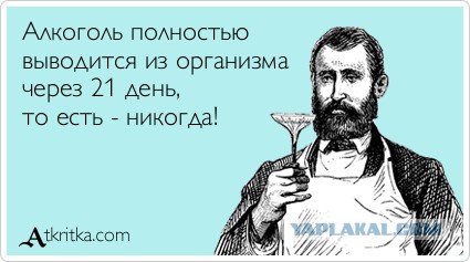 Год без алкоголя. - ЯПлакалъ
