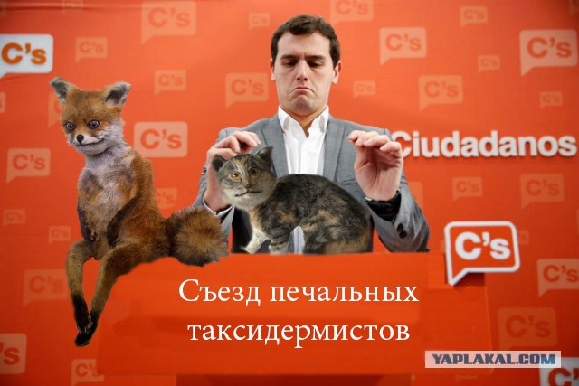 Фотожаба "Чё за Микрофоны?"