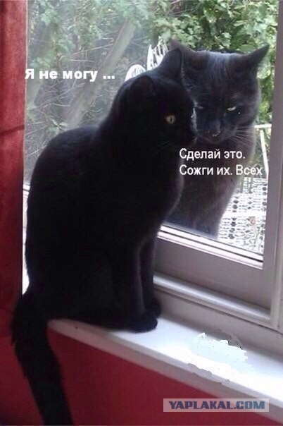 Абсурдный юмор ч.7