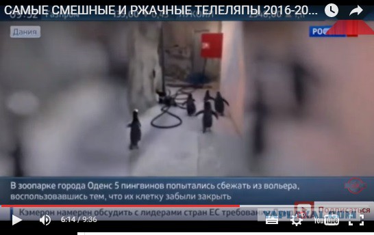 Забавные моменты на ТВ