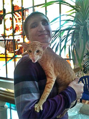 Котовторник 29.03.2016