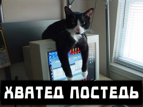 Вторник! Кашаки!