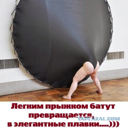 Подборка интересных и веселых картинок