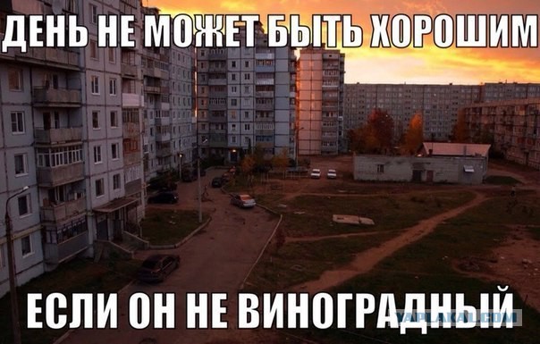 Сохраненные картинки