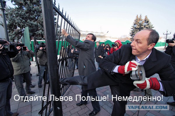 Новый курс властей Украины: Вернуть Львов полякам!