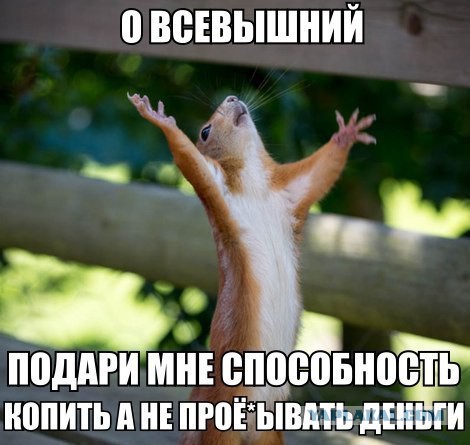 Абсурд зашкаливает