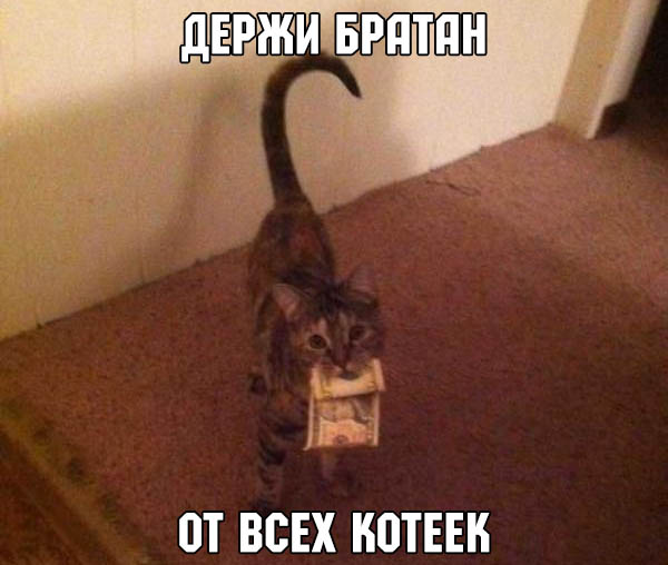 От души братва!