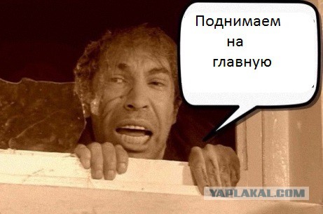 Дураки и петарды