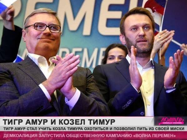 Смешные политики