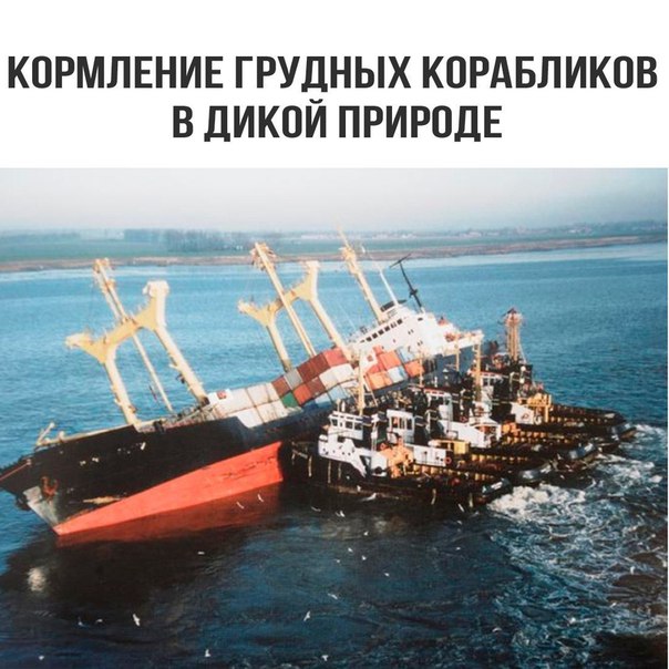 Подборка интересных и веселых картинок