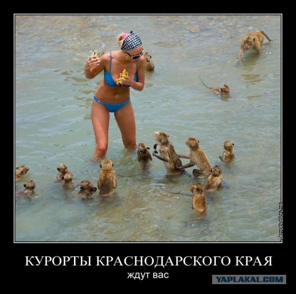 Курортное