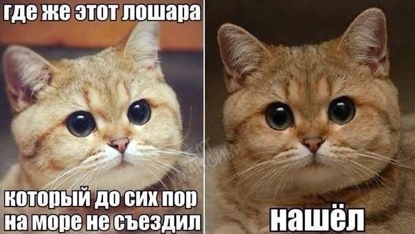Журнал деградант