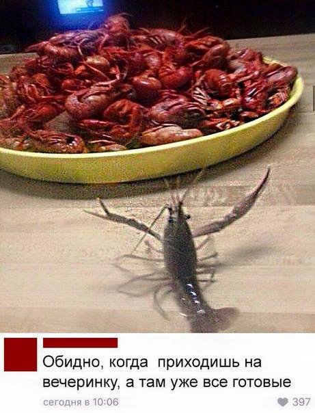 Нас всех преследует понедельничная деградация и откровенный тупёж!