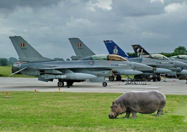 Военные картинки