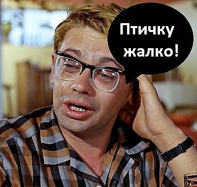 В поющую Шурыгину кинули живой курицей