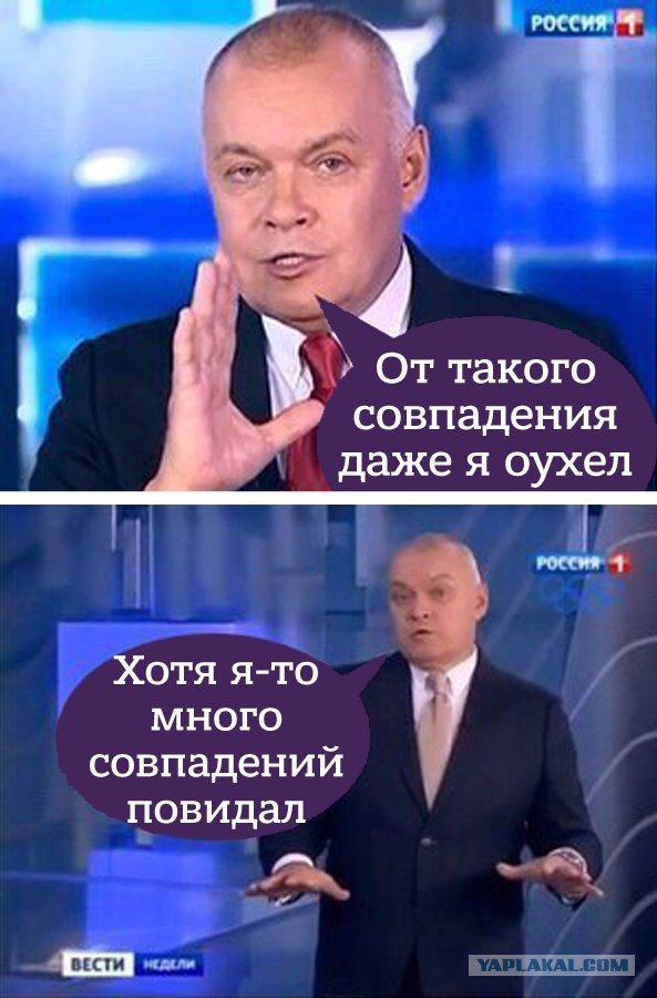 Запаниковали